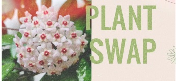 Весенние PLANT SWAP в ботаническом саду Днепра