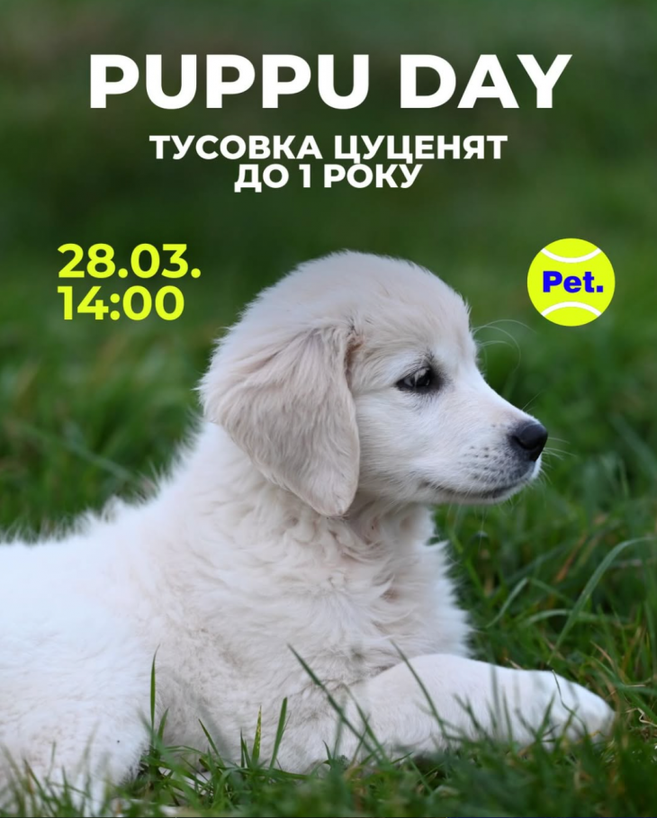 Тусовка цуценят Тусовка цуценят