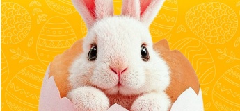 Пасхальный кролик