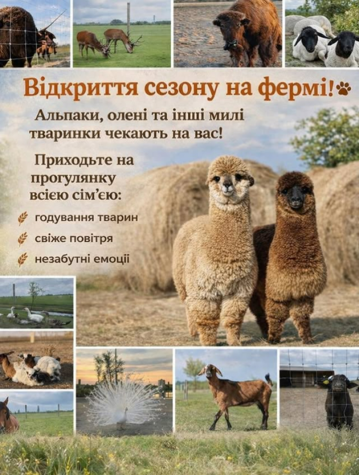Відкриваємо сезон на фермі!
