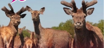 Эко-путешествие в Турове