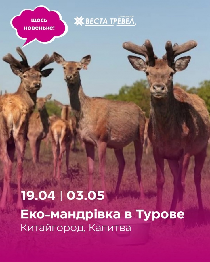 Эко-путешествие в Турове