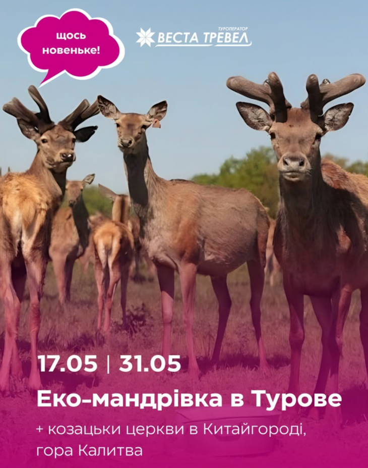 Эко-путешествие в Турове Эко-путешествие в Турове
