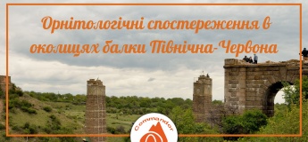 Экскурсия "Орнитологические наблюдения в окрестностях балки Северная-Красная"
