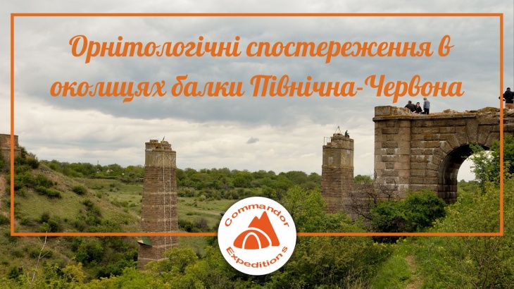 Экскурсия "Орнитологические наблюдения в окрестностях балки Северная-Красная" Экскурсия "Орнитологические наблюдения в окрестностях балки Северная-Красная"