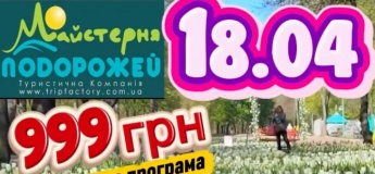 ФЕСТИВАЛЬ ТЮЛЬПАНІВ У КРОПИВНИЦЬКОМУ