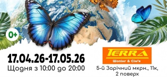 Виставка живих тропічних метеликів