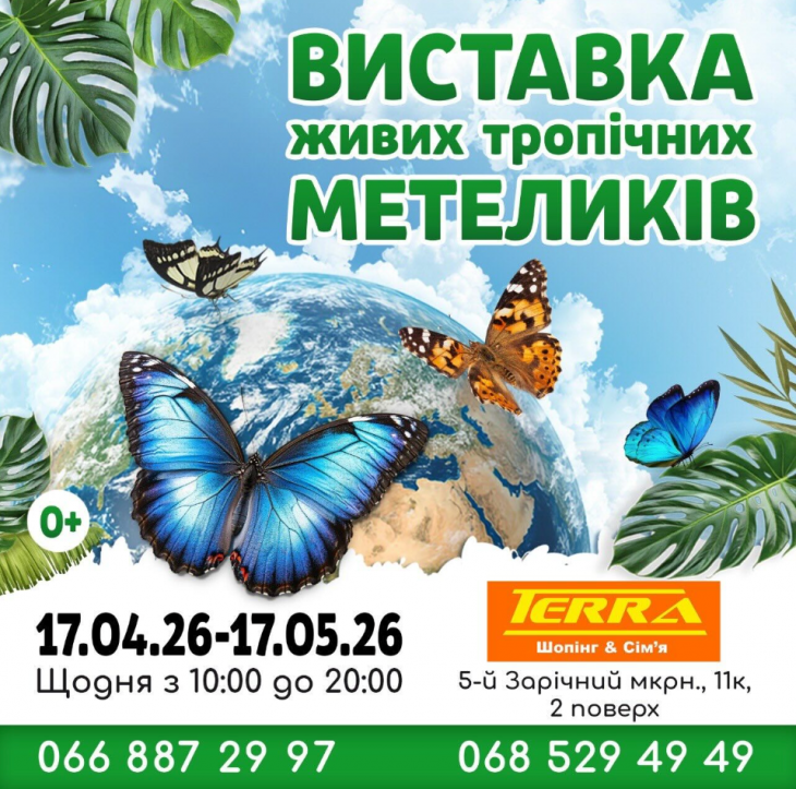 Виставка живих тропічних метеликів