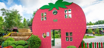 SPRING FEST у Berry Land