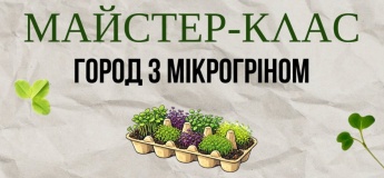 Мастер-класс "Город с микрогрином"