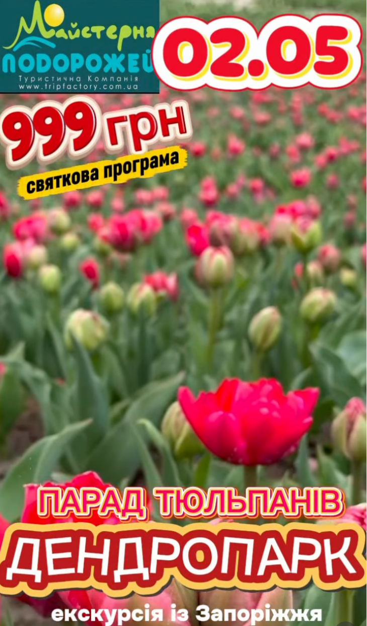ФЕСТИВАЛЬ ТЮЛЬПАНОВ В КРОПИТЕЛЬСКОМ