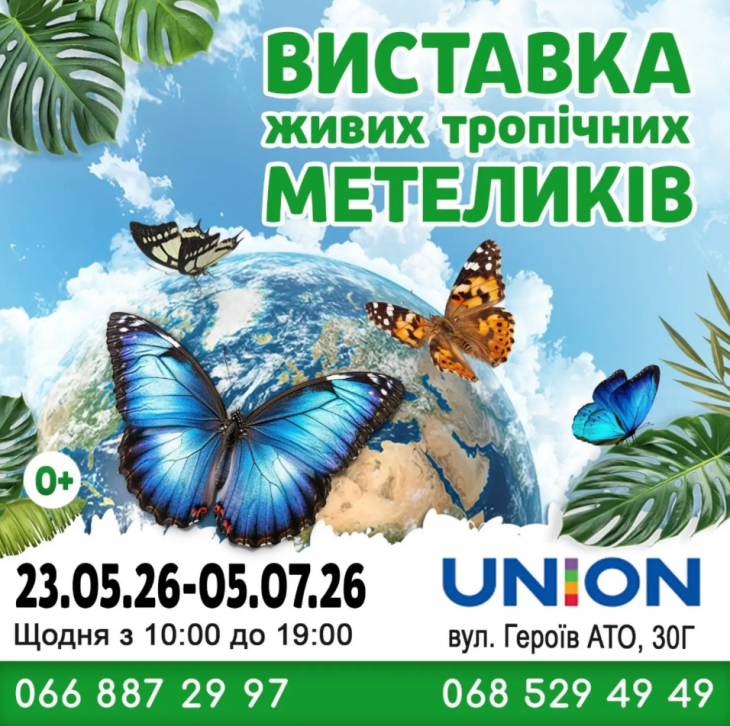 Выставка Живых Тропических Бабочек