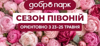 Сезон пионов в Добропарке