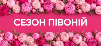 Сезон пионов в Добропарке