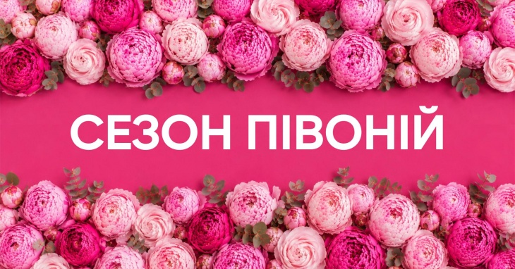 Сезон півоній у Добропарку
