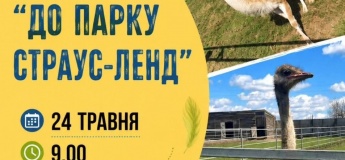 Автобусная экскурсия «К парку Страус-Ленд»