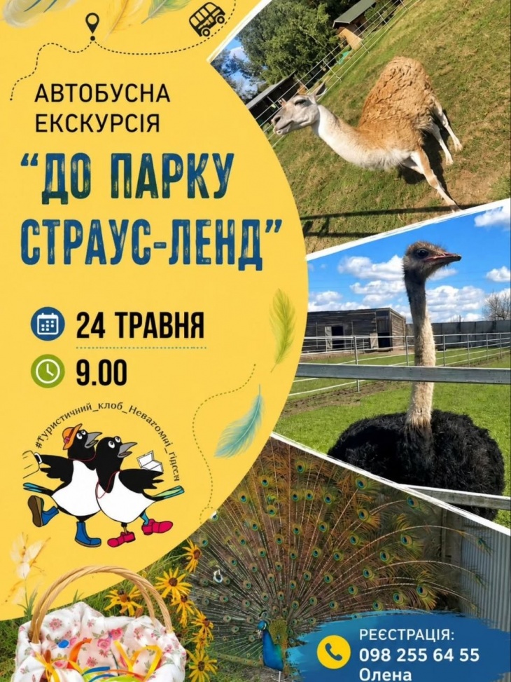 Автобусная экскурсия «К парку Страус-Ленд»