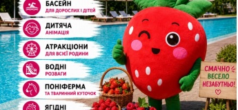 Ягідна країна