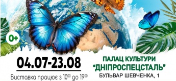 Виставка Живих Тропічних Метеликів