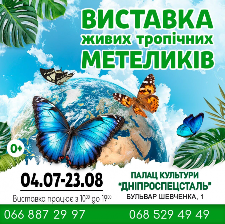 Виставка Живих Тропічних Метеликів