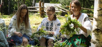 Петрування в Гаю