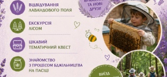 Інтерактивна програма «Таємниця лавандового рою