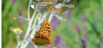 Проєкт «Екологічне ФОТОполювання»