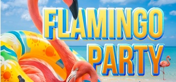 FLAMINGO PARTY в ТРЦ «РайON»