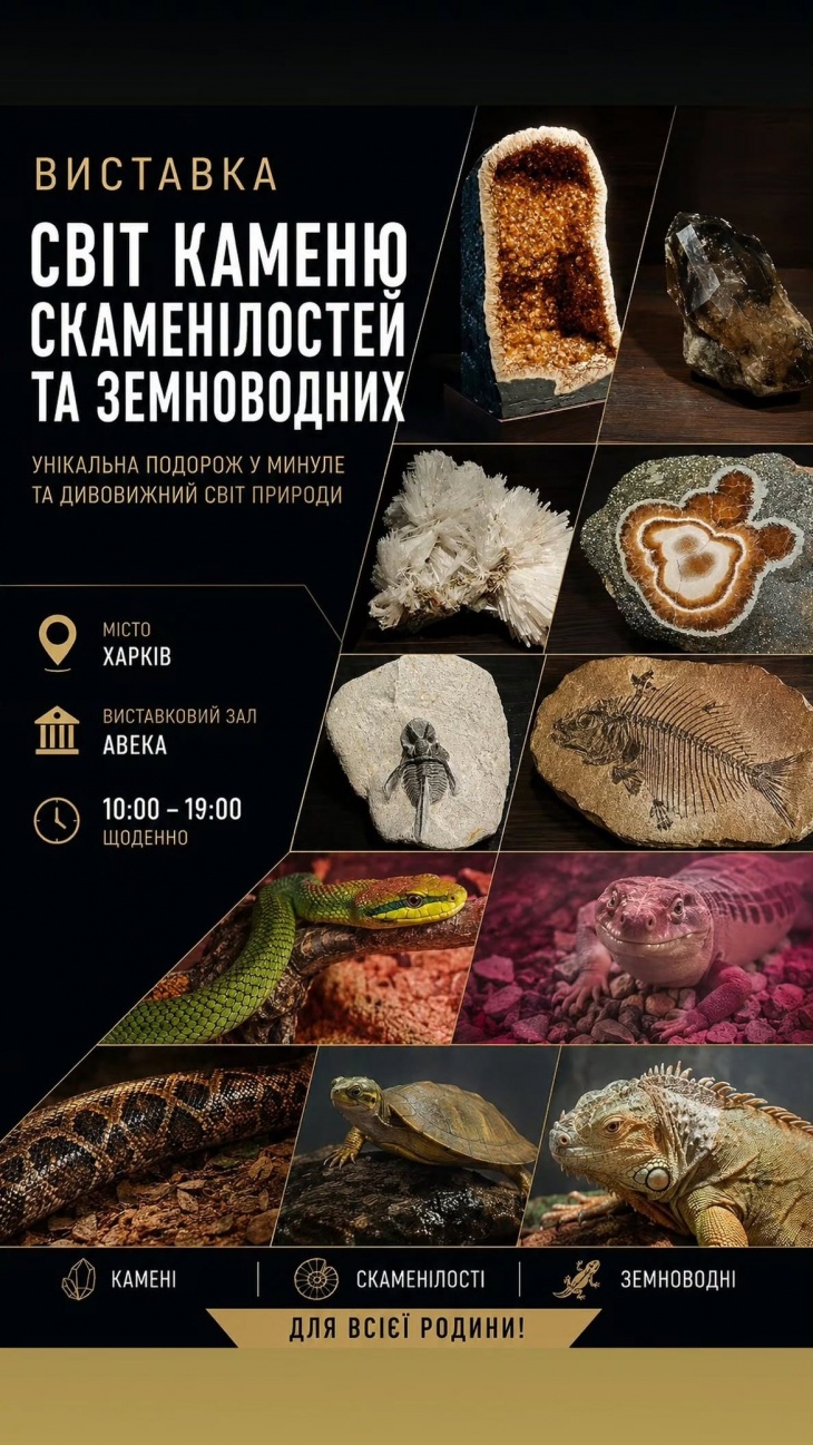 Виставка "Світ каменю - скаменілостей та земноводних" Виставка "Світ каменю - скаменілостей та земноводних"