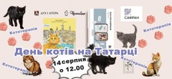 День котів на Татарці