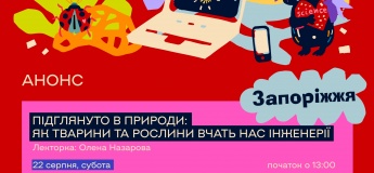 Подсмотрено в природе: как животные и растения учат нас инженерии