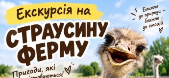 Экскурсия на Страусиную ферму