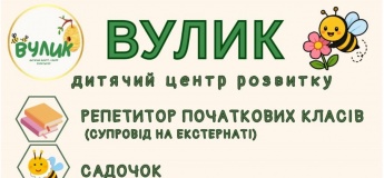 Заняття у центрі розвитку «ВУЛИК»