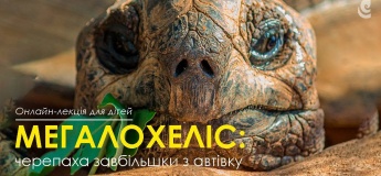 Онлайн-лекція для дітей "Мегалохеліс: черепаха завбільшки з автівку"