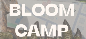 Осенний лагерь Bloom Camp