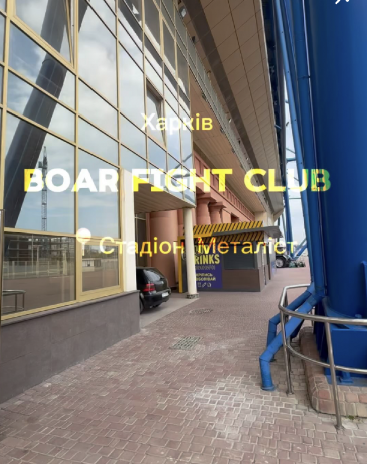 Клуб боевых искусств "Boar Fight Club" Клуб боевых искусств "Boar Fight Club"