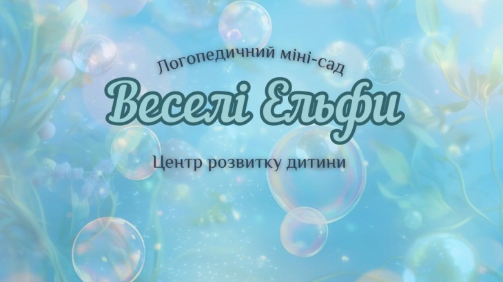 Детский коррекционный центр «Веселые эльфы»