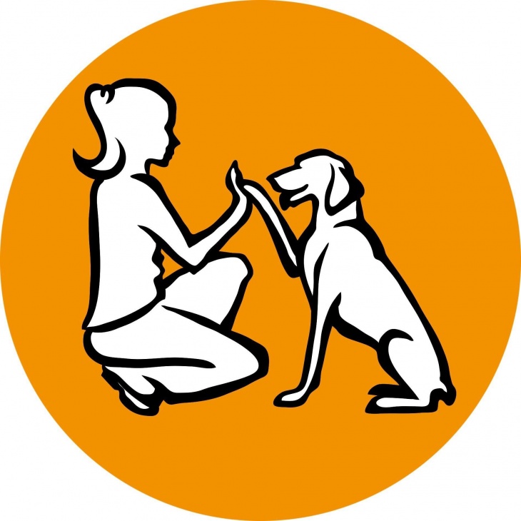 Центр обучения владельцев собак SunnyDog