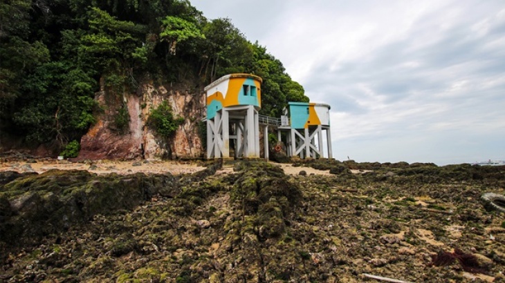 Siloso Headland Intertidal Programme