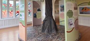 Trees Create Forests @ Forest Discovery Centre
