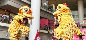 Lion Dance Blessing and Performance