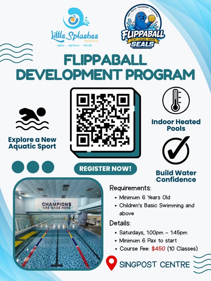 Flippaball Development Programme Flippaball Development Programme