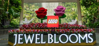 LEGO® Botanicals