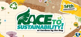 Race to Sustainability