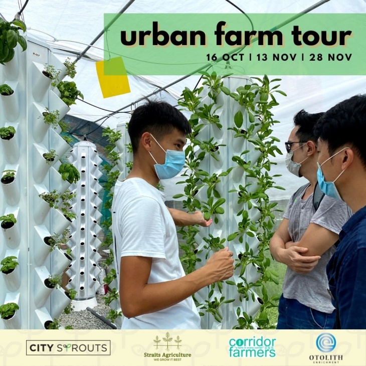 Guided Farm Tour with City Sprouts