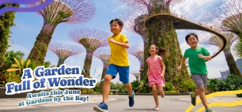 Holiday Fun in the Gardens