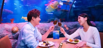 Underwater Dining Experience