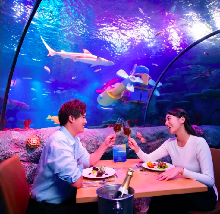 Underwater Dining Experience Underwater Dining Experience