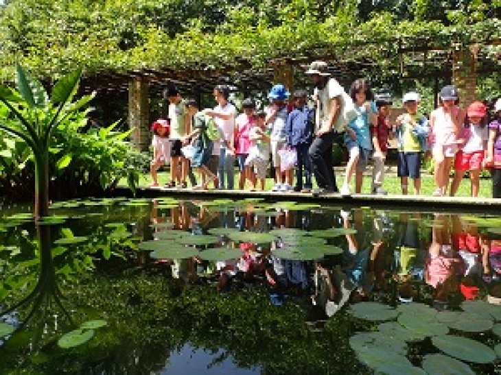 Plants and their Habitats