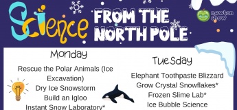 Winter Camp @Newton Show